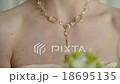 Bride on her wedding day with a beautiful necklace 18695135