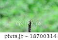 Interdiction 18700314