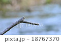 Interdiction 18767370
