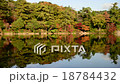 神戸の紅葉（もみじ）再度山は大龍寺、再度山公園、猩々池(しょうじょういけ) 18784432