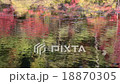 Autumn leaves 18870305