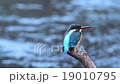 Interdiction 19010795