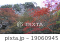 Minoh Otaki autumn leaves 19060945