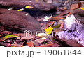 151203_情人瀑布001 19061844