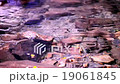 151203_情人瀑布002 19061845
