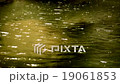 151203_情人瀑布010 19061853
