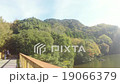 秋の亀山湖の風景４（11月末） 19066379