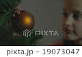 Little Girl Decorate Christmass tree Close Up 19073047