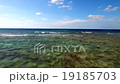 沖縄　さんご礁の海 水平線にむかってフライト 19185703