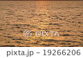 水染成紅色 19266206