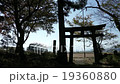 蒸気機関車　紅葉の只見線　神社の境内にて 19360880