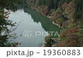 蒸気機関車　紅葉の只見線　只見川 19360883