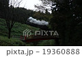 蒸気機関車　紅葉の只見線　杉林 19360888