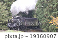蒸気機関車　紅葉の只見線　杉林 19360907