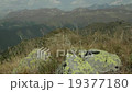 compass on stone 19377180