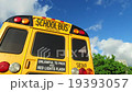School bus  19393057
