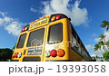School bus  19393058