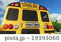 School bus  19393060