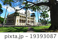Iolani Palace 19393087