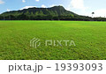 Diamond Head 19393093