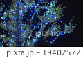 禦堂筋照明⑤ 19402572