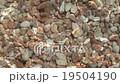 Shining underwater rocks in Bulgaria 19504190
