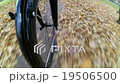 In the autumn of cycling 19506500