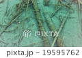 Jia Ling naked cleavage fish Jiuzhaigou Five flower sea 19595762