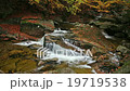 Autumn Stream with Water Cascade in Autumn 19719538