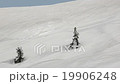 Zao Otama Backcountry 004 19906248