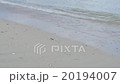 波打ち際 20194007