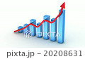 Business Chart 20208631