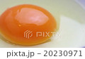 生たまごを割る 20230971