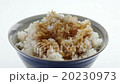 玉子かけごはん 20230973