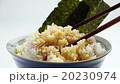 玉子かけごはん 20230974