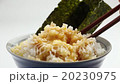 玉子かけごはん 20230975