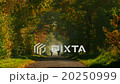 retired couple riding a bicycle on long colorful  20250999