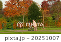 pensioner wheel walker in colorful autumn park 20251007