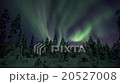 Northern lights in Finland forest Lapland 20527008