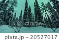 Northern lights in Finland forest Lapland 20527017