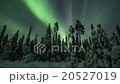 Northern lights in Finland forest Lapland 20527019