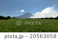 夏の草原と富士山のタイムラプス 20563058
