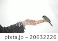 feeding the birds with his hands 20632226