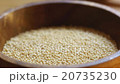 莧菜 20735230