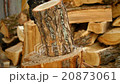 chopping wood with an ax 20873061