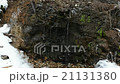 Natural small waterfall in snow falling time   21131380