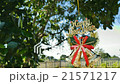Happy new year gift card with nature garden  21571217