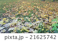 Woods background slow motion 21625742