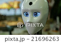 Robot rebooted and saw the world 21696263