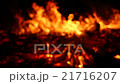 Fire, bonfire, forest fire, flames in blur defocus 21716207
